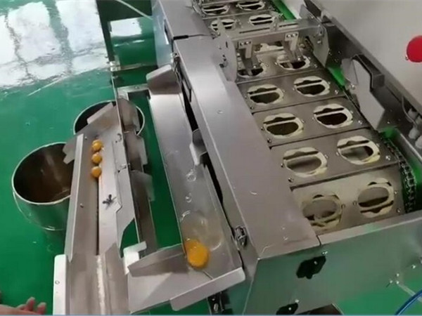 食品廠用蛋清蛋黃分離機(jī)怎么樣？?jī)?yōu)勢(shì)和作用介紹